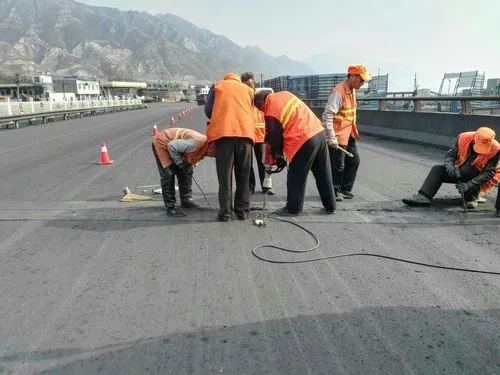 新城街道道路桥梁病害治理